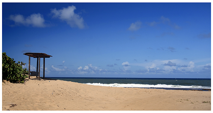 The beach