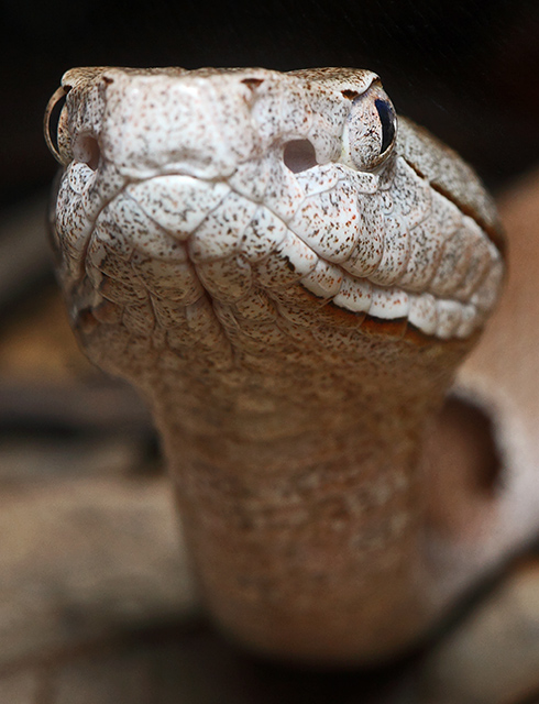 What are you looking at?
