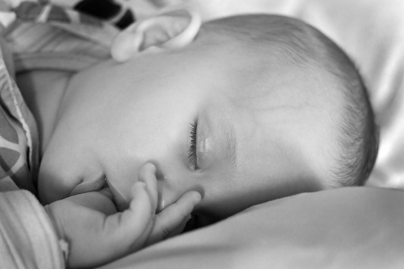 Kit-sleeping-8x12