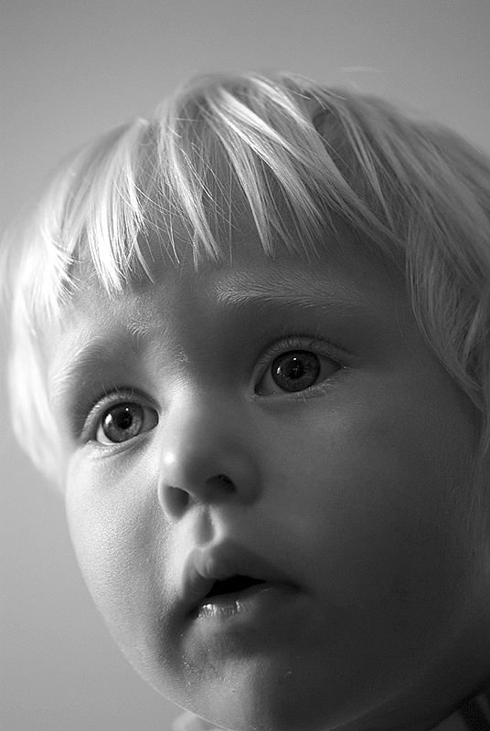 Just  Boy