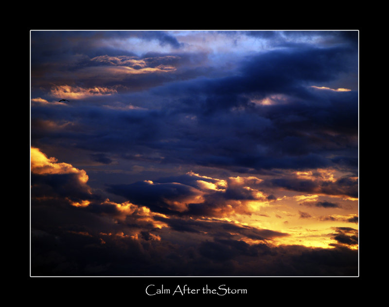 Calm After the Storm