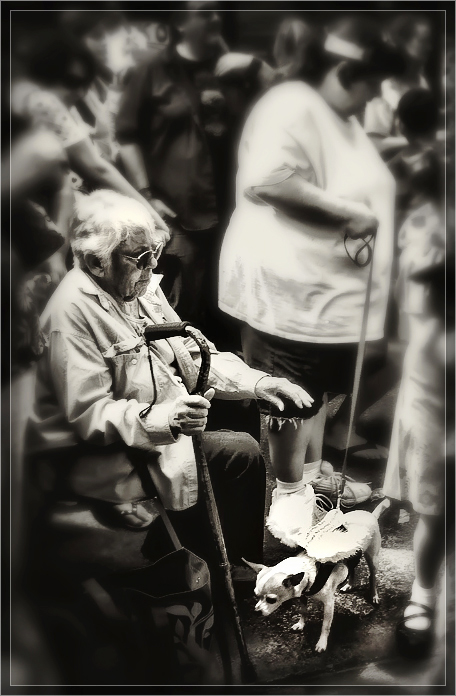 The Old Man And The Angel