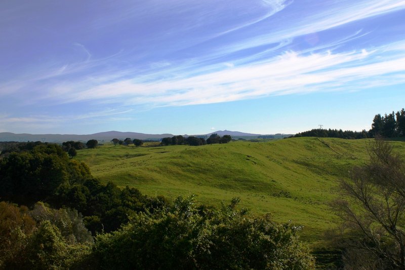 New Zealand countryside