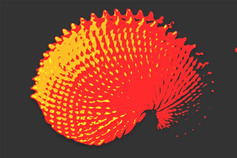 Paper Nautilus 2