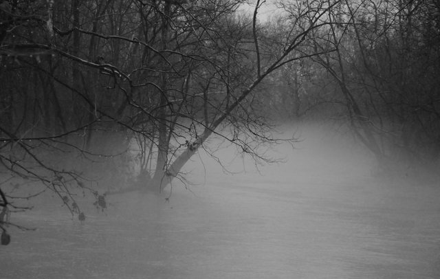 DSC_4106 copy2.jpg
