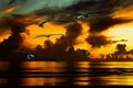 Sunset