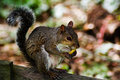 Hungry