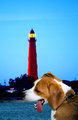 lighthouse.jpg