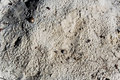 sand.jpg