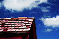 roof.jpg