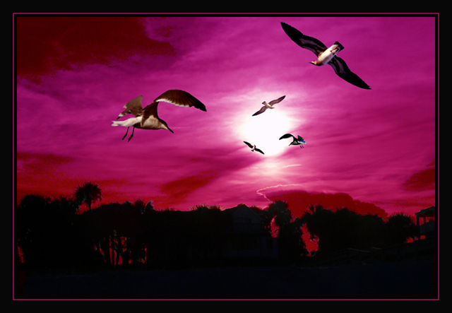 pink.jpg