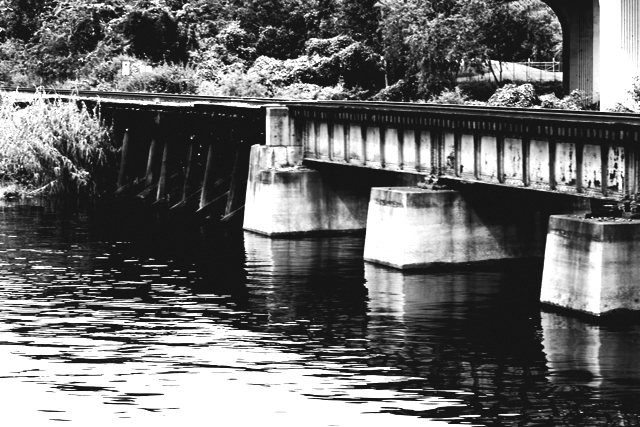 bridge.jpg