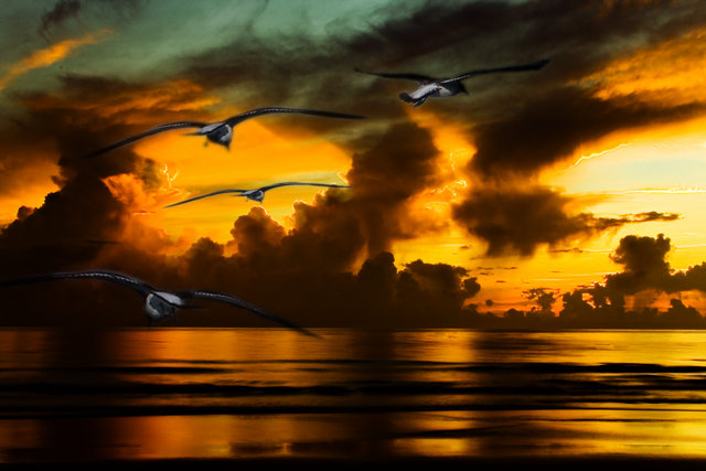 Sunset
