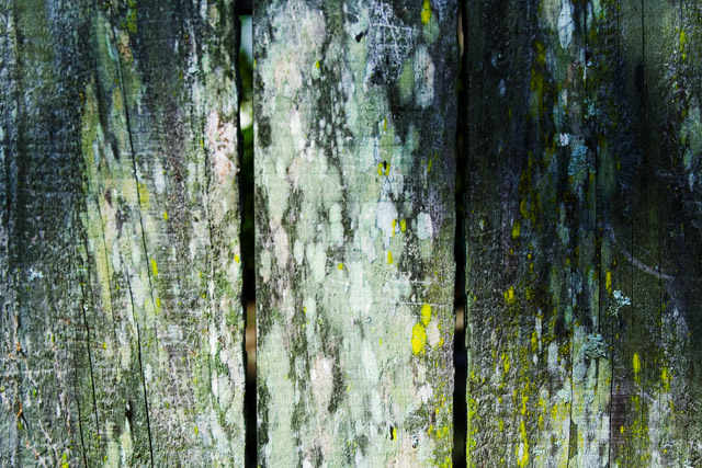 fence.jpg