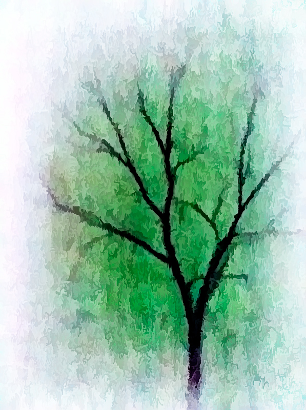 Winter tree