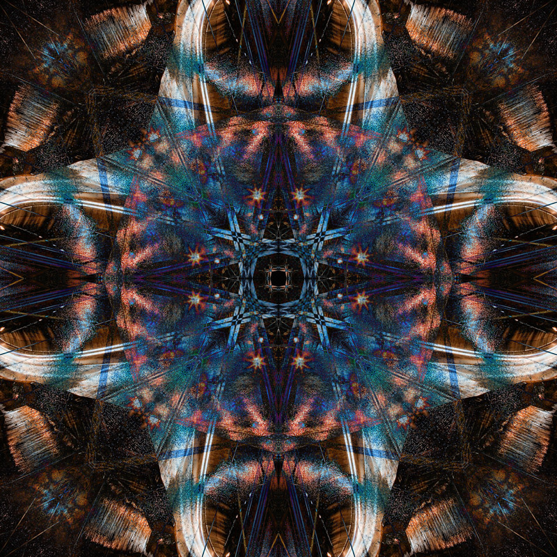 IMG_9890_flipblend.jpg