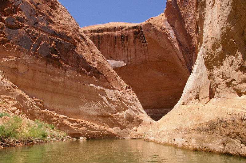 Powell 228.jpg