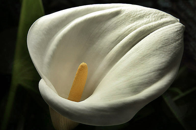 Winter Macro