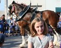 Kyn & the Clydesdale
