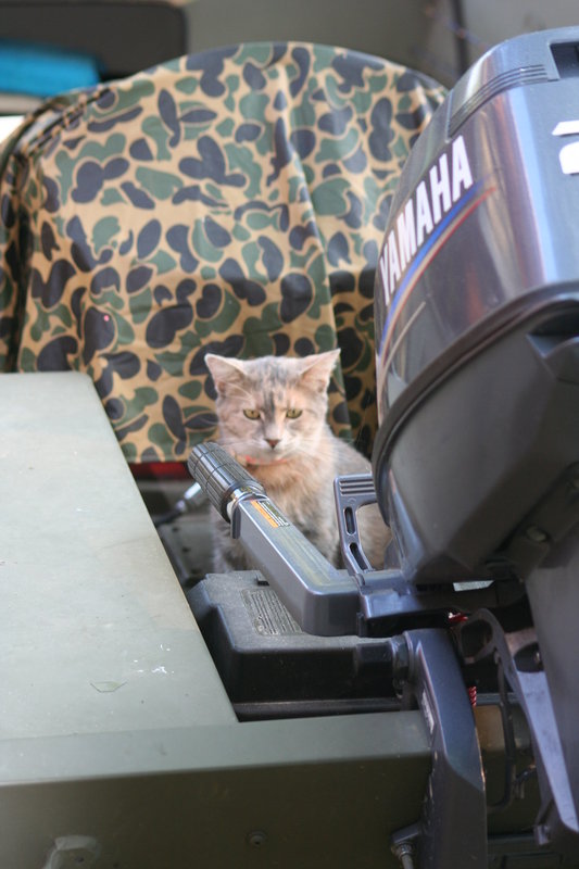 Lets go fishing!