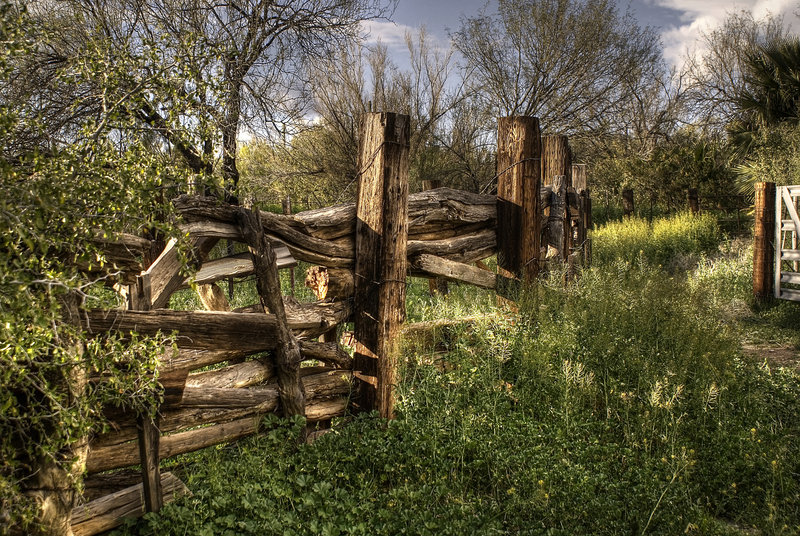 Fence