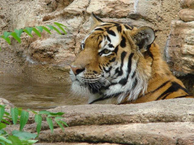 DSC00392.JPG