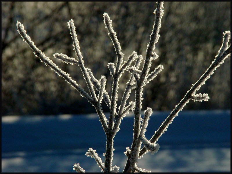 Photo6.jpg