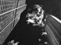 ' . substr('//images.dpchallenge.com/images_portfolio/80000-84999/82092/120/604626.jpg', strrpos('//images.dpchallenge.com/images_portfolio/80000-84999/82092/120/604626.jpg', '/') + 1) . '