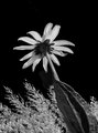 ' . substr('//images.dpchallenge.com/images_portfolio/80000-84999/82092/120/605067.jpg', strrpos('//images.dpchallenge.com/images_portfolio/80000-84999/82092/120/605067.jpg', '/') + 1) . '