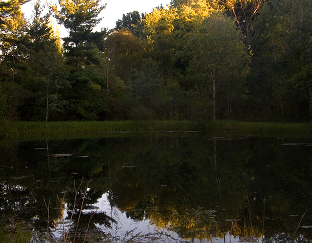 First Reflections of Fall