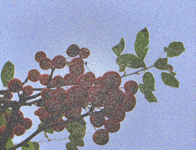  Day 8 - Berries