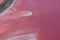 Spiral Jetty