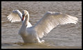 20090219_1111.jpg