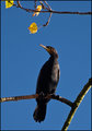 Enjoying-the-Autumn-Sunshine.jpg