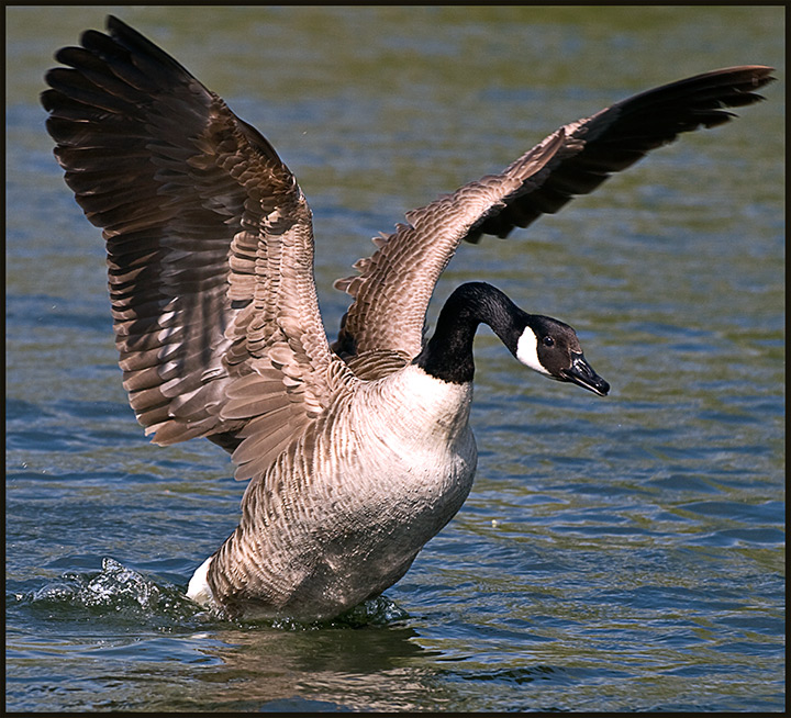 20090424_0989.jpg