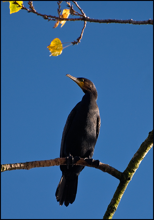 Enjoying-the-Autumn-Sunshine.jpg