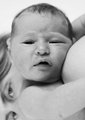 newborn