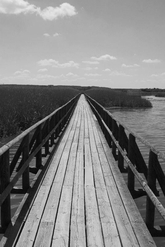 Road to nowhere