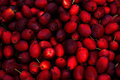 Crabapples