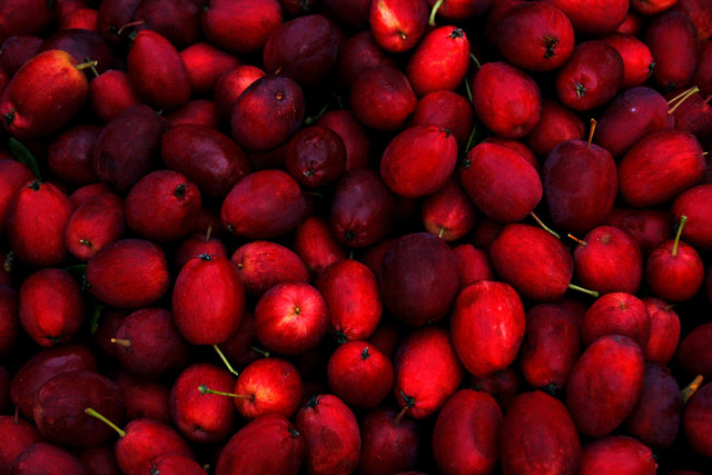 Crabapples