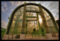 Abandoned Research Facility in the Jungle