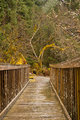 The Bridge