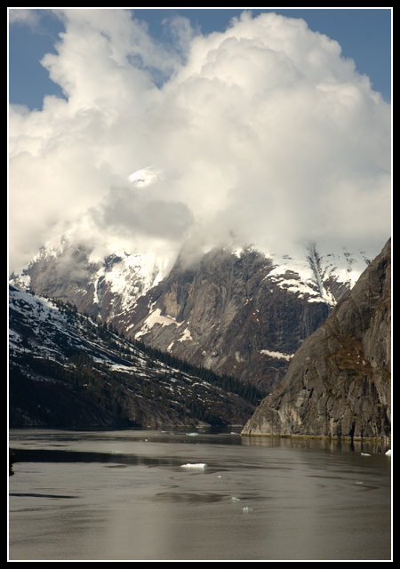 Tracy Arm Fjord 1