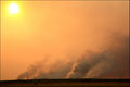 Flood Plains Burn Off