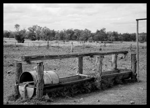 Day 2 - Water Trough