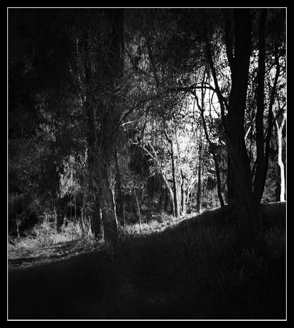 Day 13 - Landscape Painted with Light