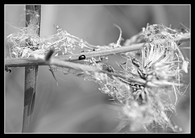 Day 27 - On the way home