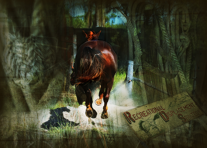 Horses texture 2 720.jpg