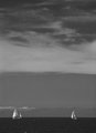 19 - Sailboats