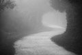 24 - Soft Focus S-Curve